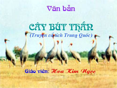 Bài 8. Cây bút thần