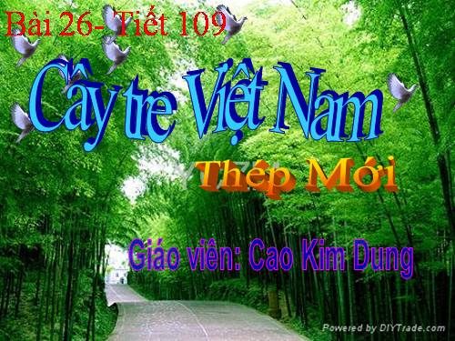 Bài 26. Cây tre Việt Nam