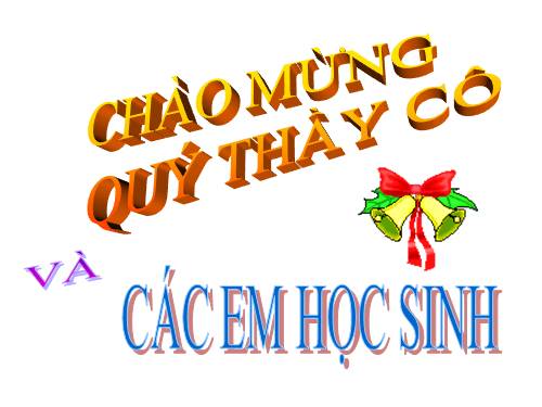 Bài 13. Chỉ từ