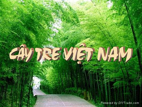 Bài 26. Cây tre Việt Nam