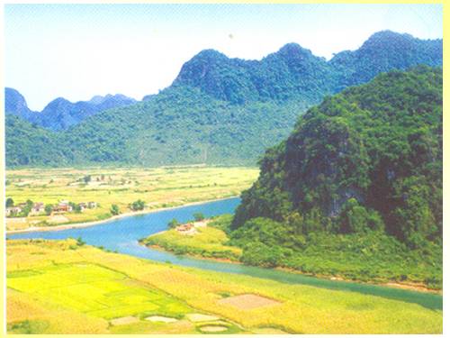 Bài 31. Động Phong Nha