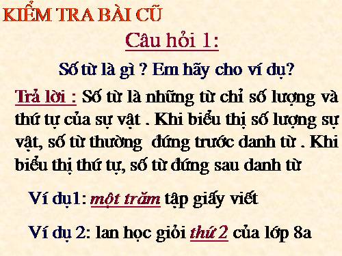 Bài 13. Chỉ từ