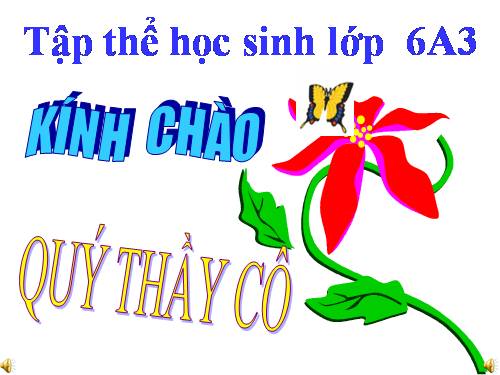 Bài 26. Cây tre Việt Nam