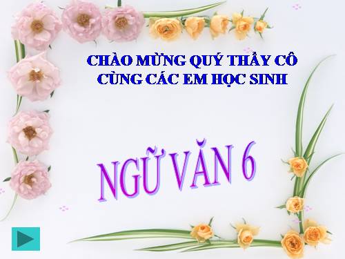 Bài 19. Sông nước Cà Mau