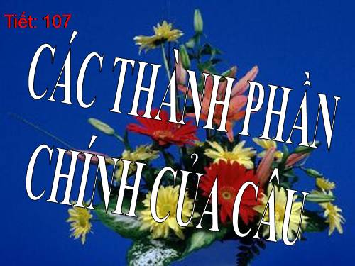 Bài 25. Các thành phần chính của câu