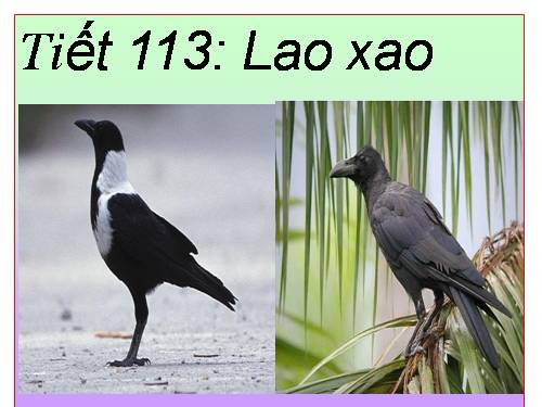 Bài 27. Lao xao