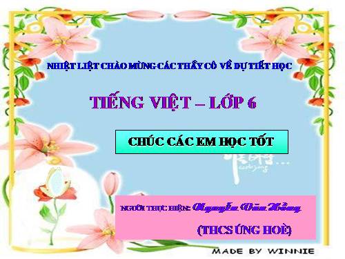 Bài 12. Số từ và lượng từ