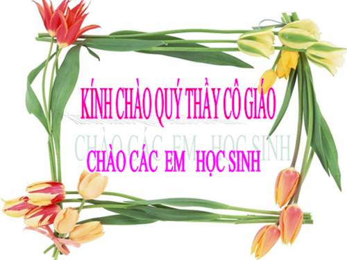 Bài 18. Bài học đường đời đầu tiên