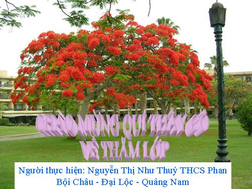 Bài 10. Danh từ (tiếp theo)