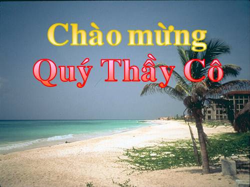 Bài 13. Chỉ từ