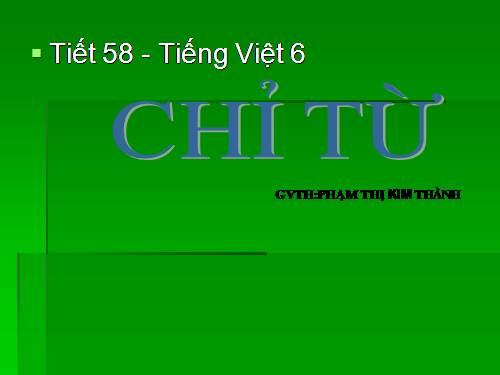 Bài 13. Chỉ từ