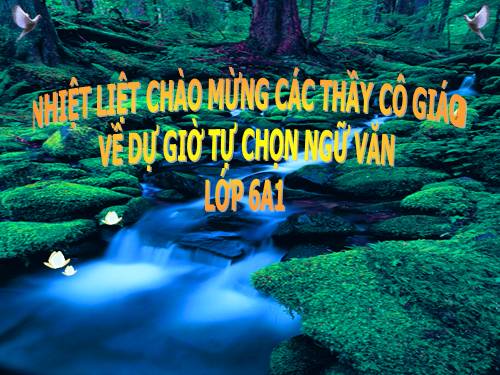 Bài 6. Chữa lỗi dùng từ