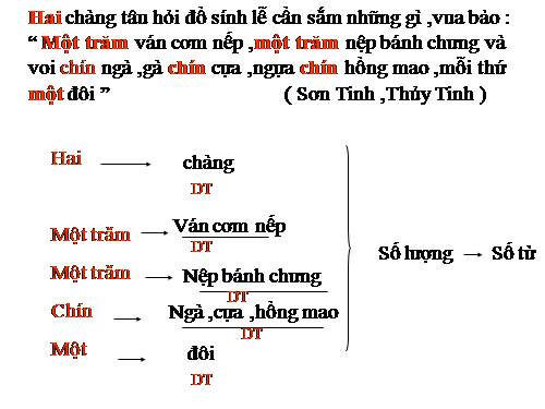 Bài 12. Số từ và lượng từ