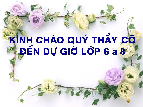 Bài 10. Ếch ngồi đáy giếng