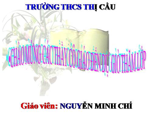 Bài 12. Số từ và lượng từ