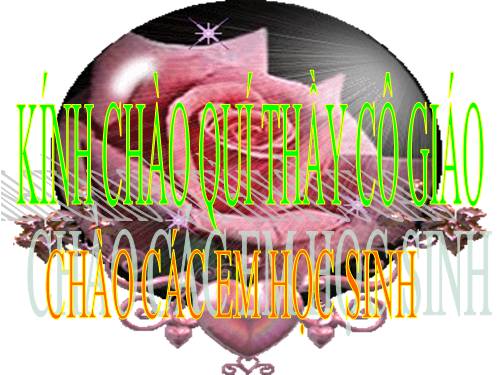Bài 13. Chỉ từ