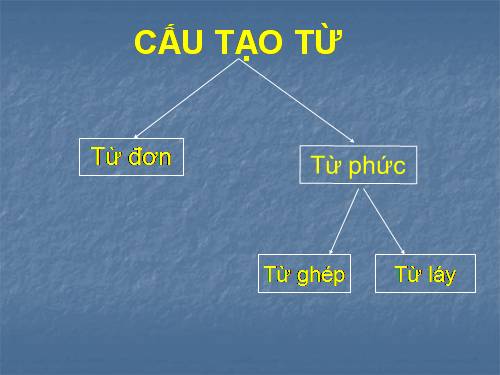Bài 17. Ôn tập Tiếng Việt