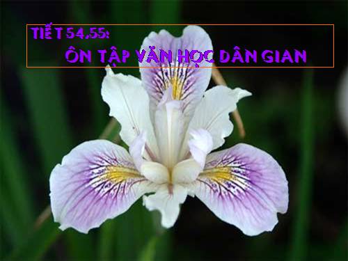 Bài 13. Ôn tập truyện dân gian