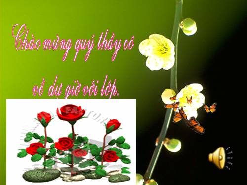 Bài 13. Chỉ từ