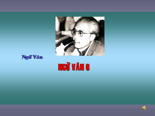Bài 19. Sông nước Cà Mau