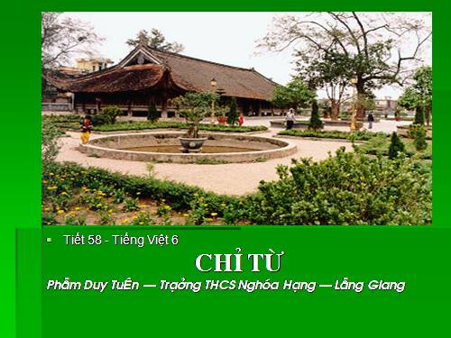 Bài 13. Chỉ từ