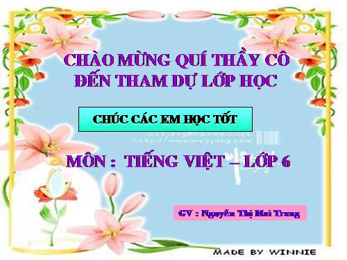 Bài 12. Số từ và lượng từ