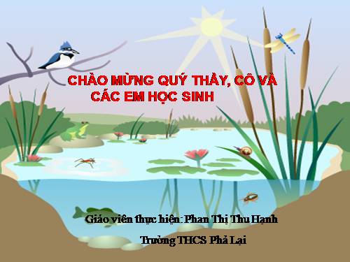 Bài 10. Ếch ngồi đáy giếng