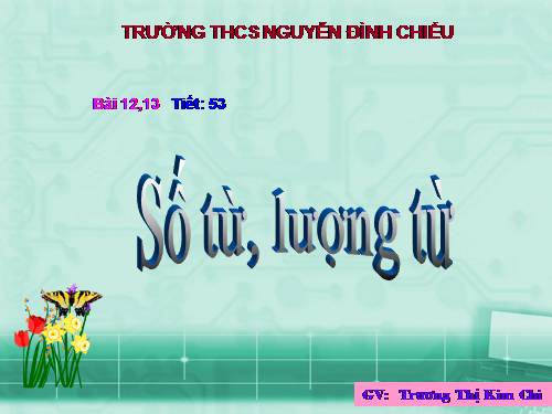 Bài 12. Số từ và lượng từ