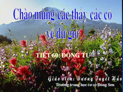 Bài 14. Động từ