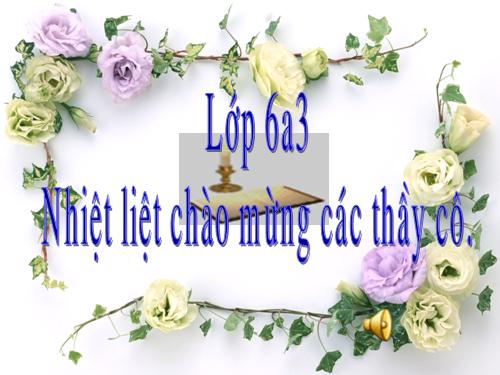 Bài 10. Thầy bói xem voi