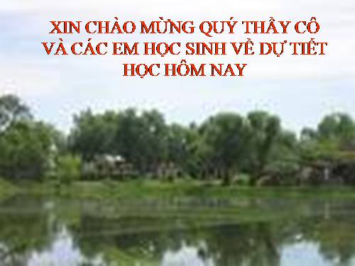 Bài 12. Lợn cưới, áo mới