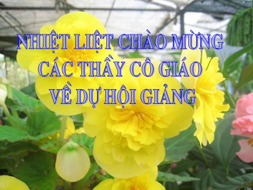 Bài 10. Ếch ngồi đáy giếng