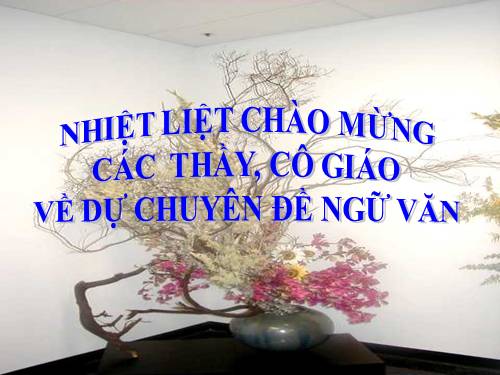 CHUYEN DE NGỮ VĂN THANH PHO