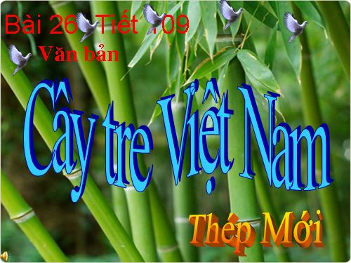 Bài 26. Cây tre Việt Nam