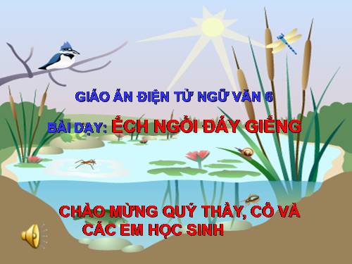 Bài 10. Ếch ngồi đáy giếng