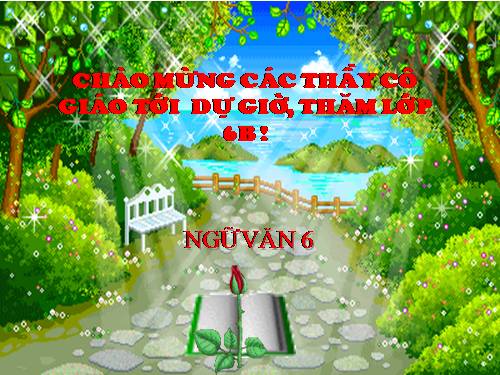 Bài 13. Chỉ từ