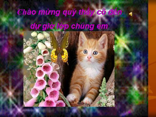 Bài 15. Mẹ hiền dạy con