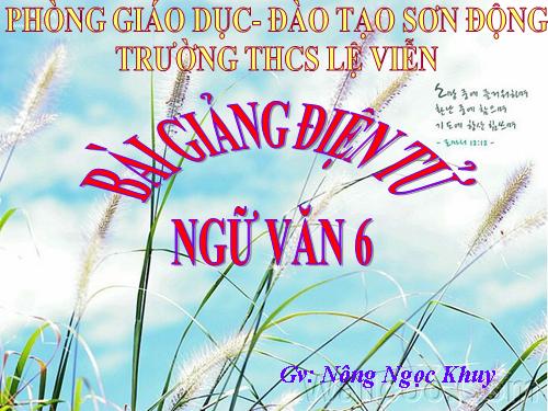 Bài 26. Cây tre Việt Nam