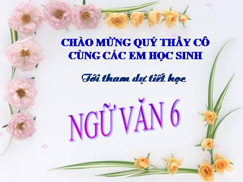 Bài 19. Sông nước Cà Mau