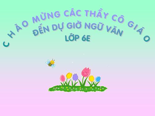 Bài 15. Mẹ hiền dạy con