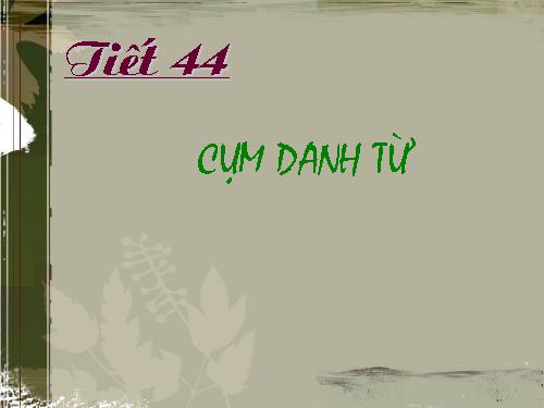 Bài 11. Cụm danh từ