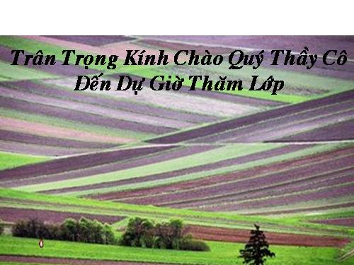 Bài 32. Ôn tập về dấu câu (Dấu phẩy)