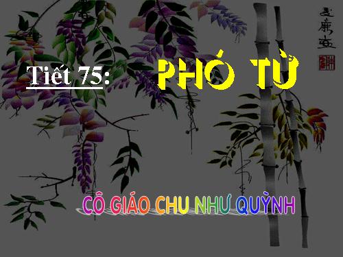 Bài 18. Phó từ