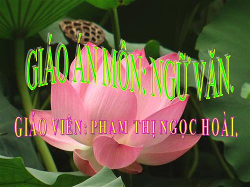 Bài 5. Từ nhiều nghĩa và hiện tượng chuyển nghĩa của từ