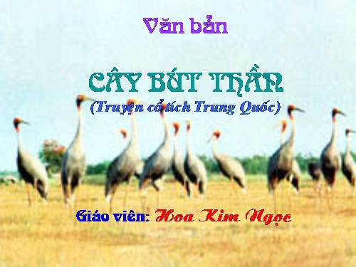 Bài 8. Cây bút thần