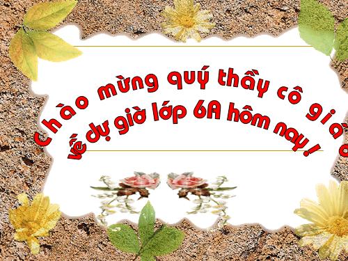 Bài 28. Câu trần thuật đơn không có từ là