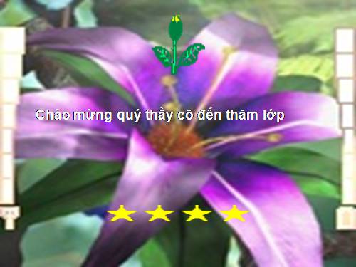 Bài 19. Sông nước Cà Mau