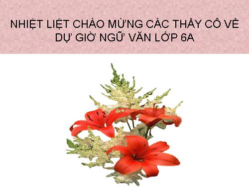 Bài 15. Mẹ hiền dạy con