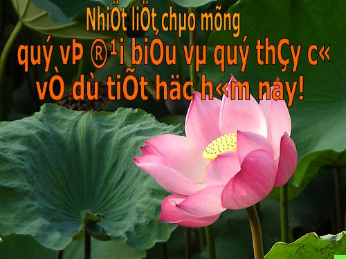 Bài 23. Đêm nay Bác không ngủ