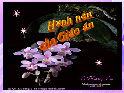 Hinh nen cho giao an dien tu